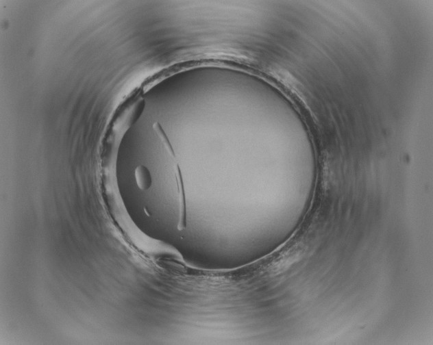 X0000088661024200706081657