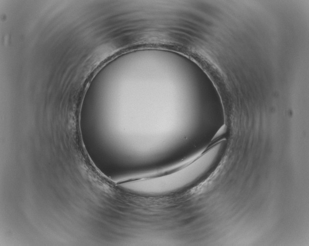 X0000088661025200706081657