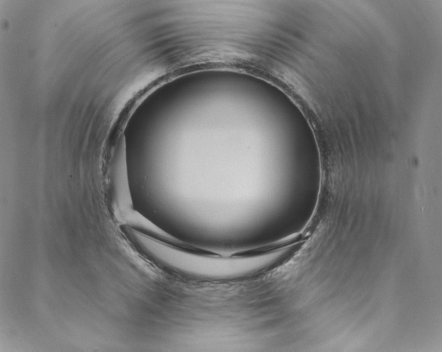 X0000088661026200706081657