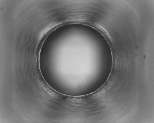 X0000088661027200706081657