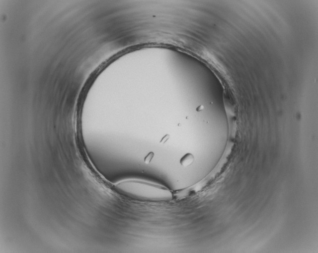 X0000088661028200706081657