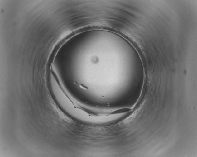 X0000088661029200706081657