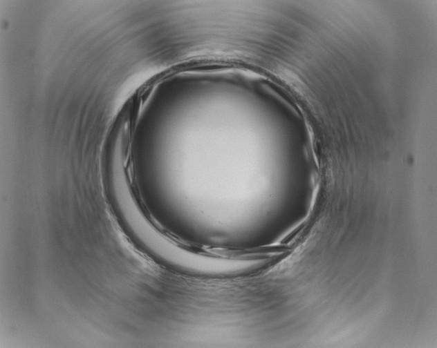 X0000088661030200706081657