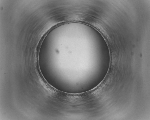 X0000088661031200706081657