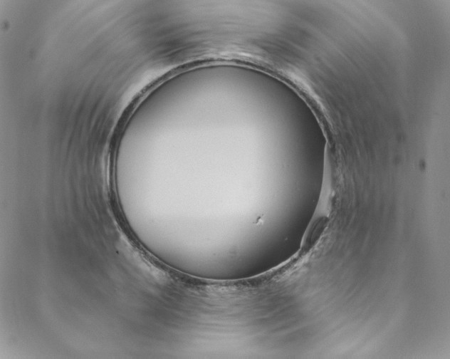 X0000088661032200706081657