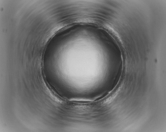 X0000088661033200706081657