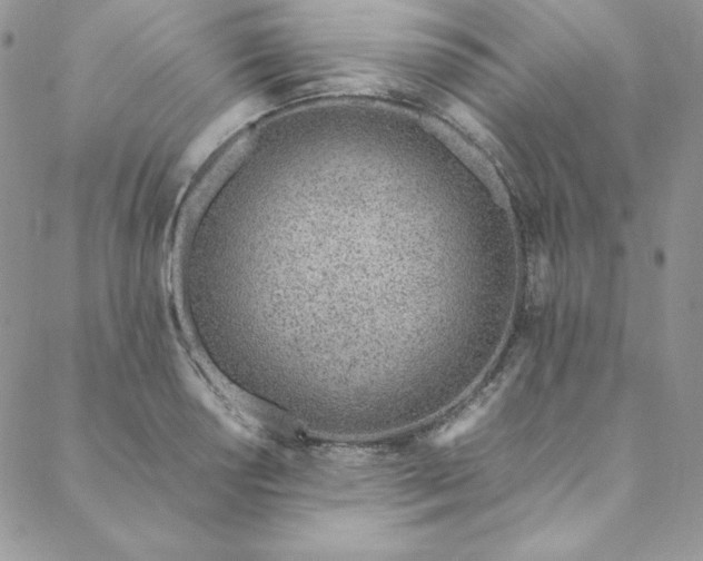 X0000088661034200706081657