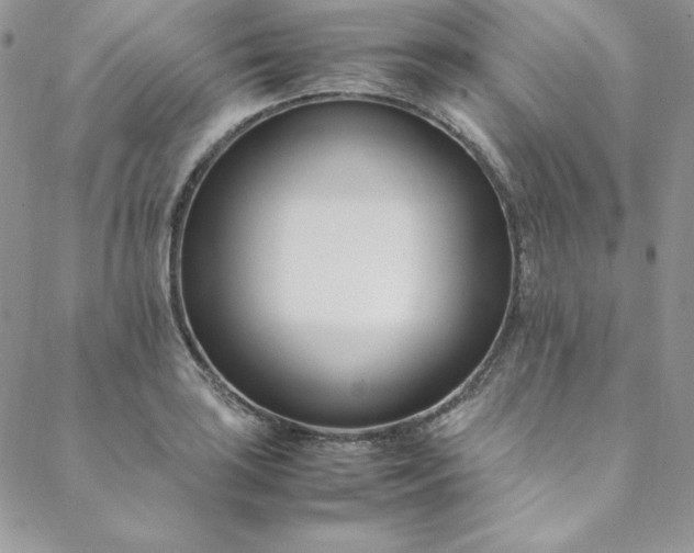 X0000088661035200706081657