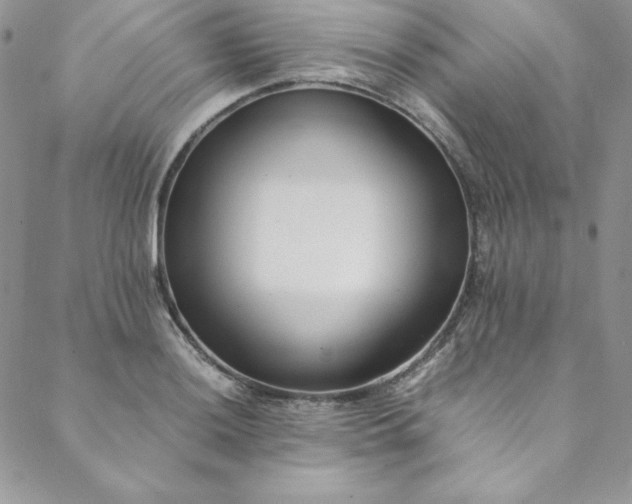 X0000088661036200706081657