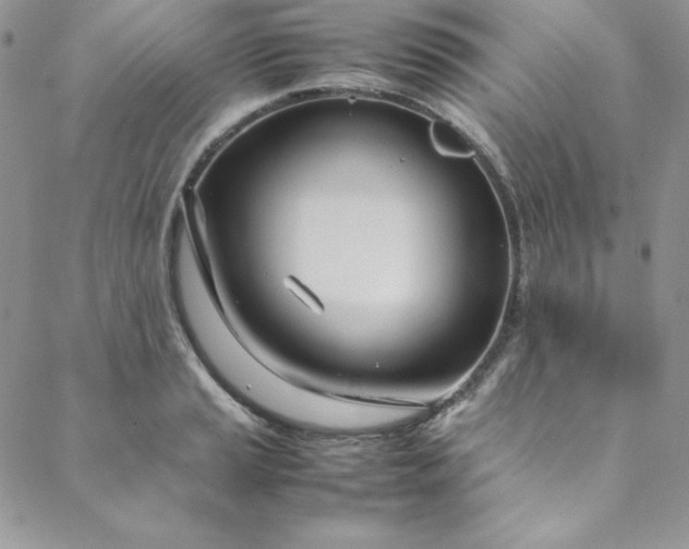 X0000088661037200706081657