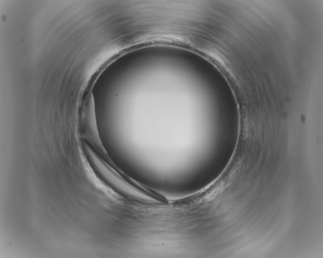 X0000088661038200706081657