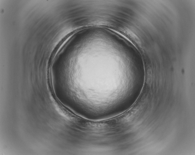 X0000088661039200706081657