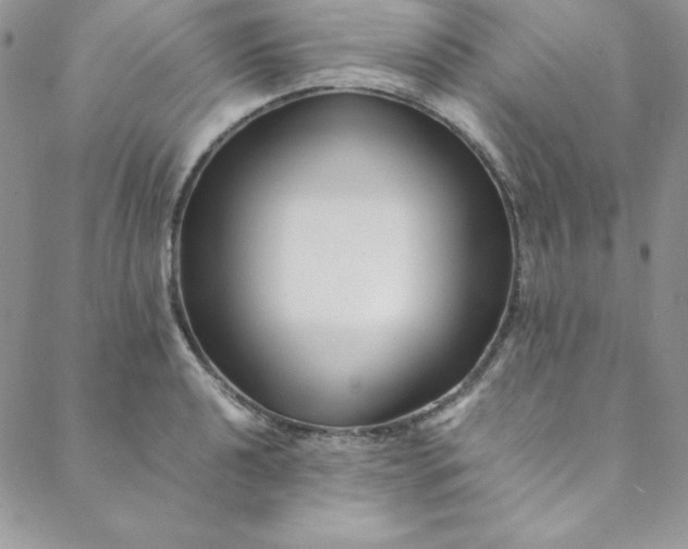 X0000088661040200706081657