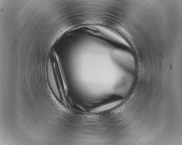 X0000088661041200706081657