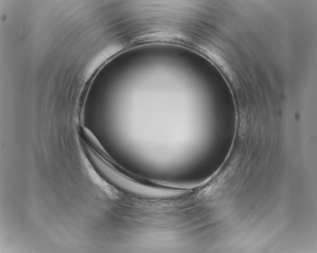 X0000088661042200706081658