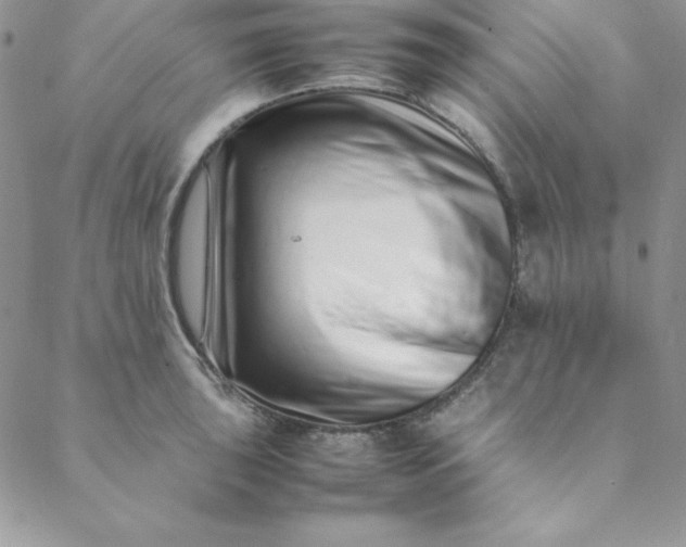 X0000088661043200706081658