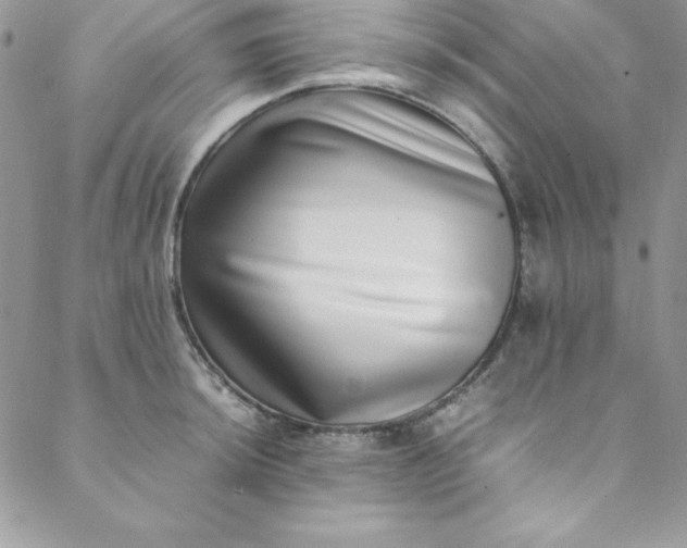 X0000088661044200706081658