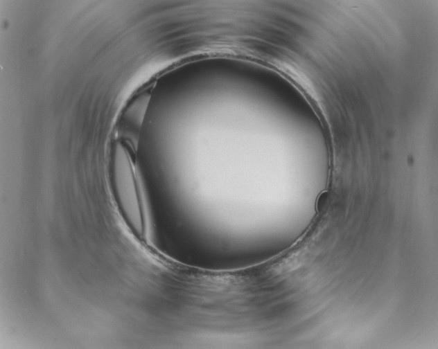 X0000088661045200706081658