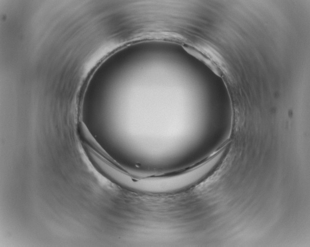 X0000088661046200706081658