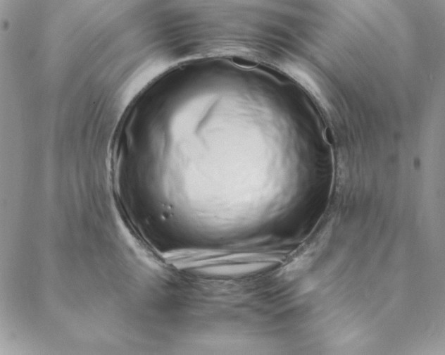 X0000088661047200706081658