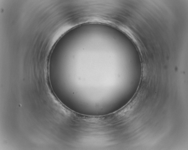 X0000088661048200706081658