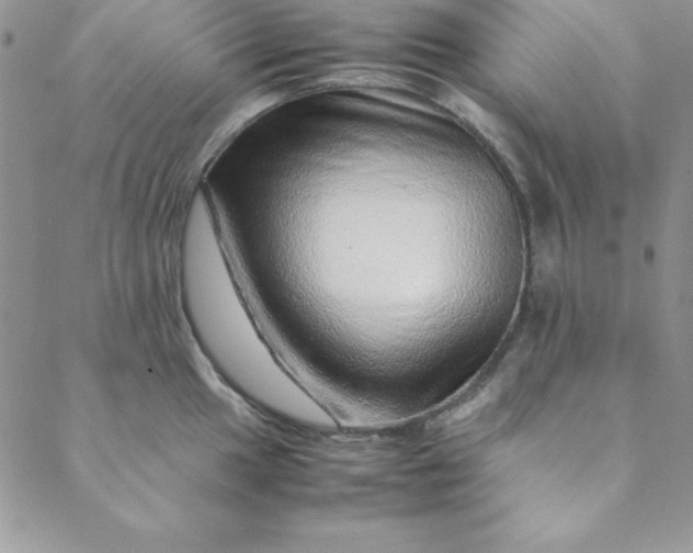 X0000088661049200706081658