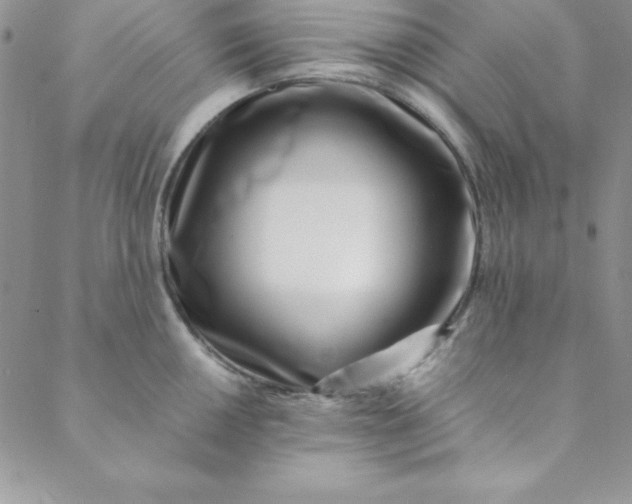 X0000088661050200706081658