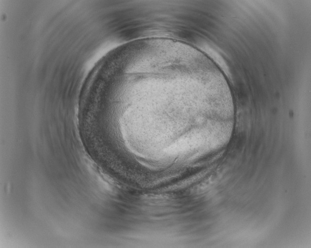 X0000088661051200706081658