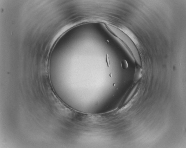 X0000088661052200706081658