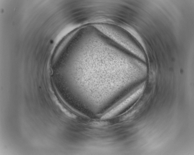 X0000088661053200706081658