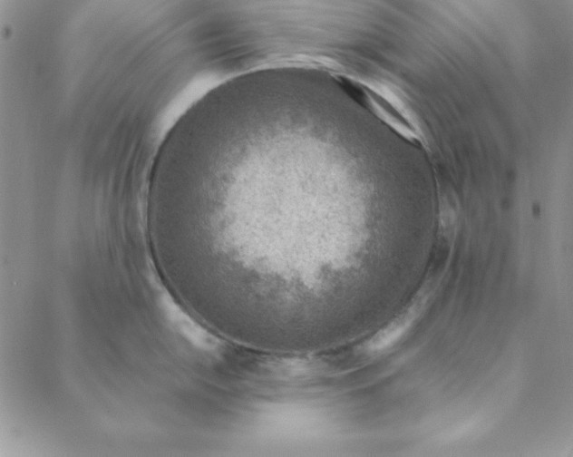 X0000088661054200706081658