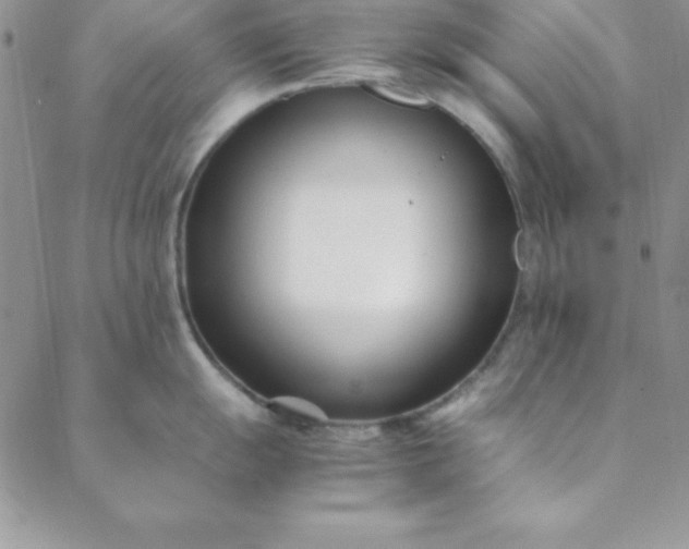 X0000088661055200706081658