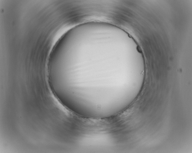 X0000088661056200706081658