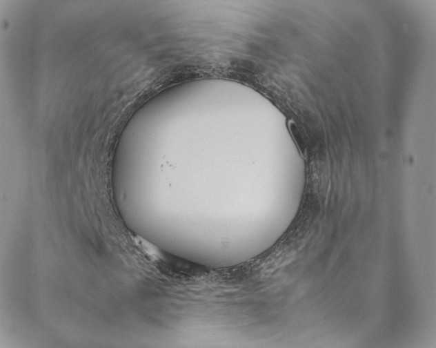 X0000088661057200706081657