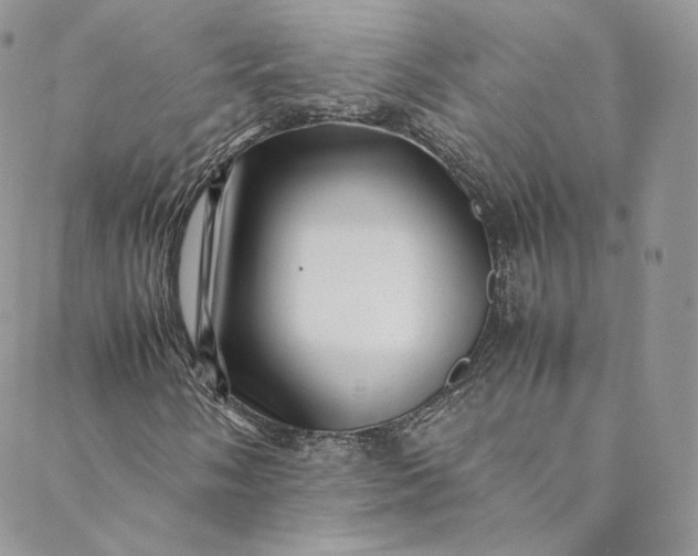 X0000088661058200706081657