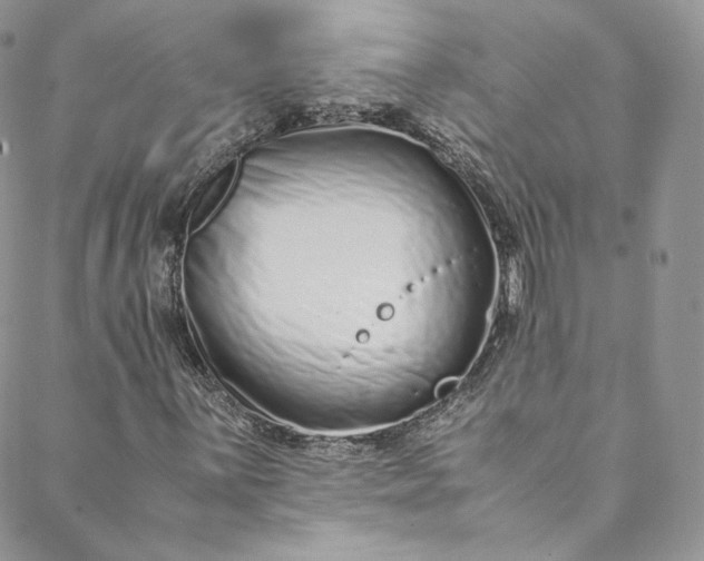 X0000088661059200706081657