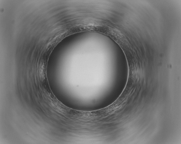 X0000088661060200706081657