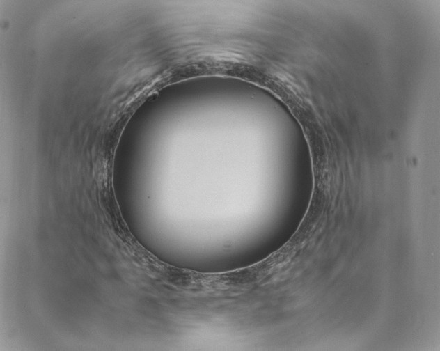 X0000088661061200706081657