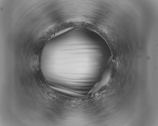 X0000088661062200706081657