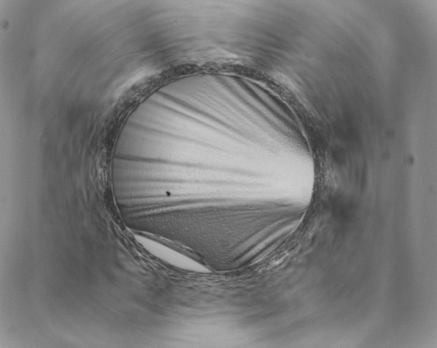 X0000088661063200706081657