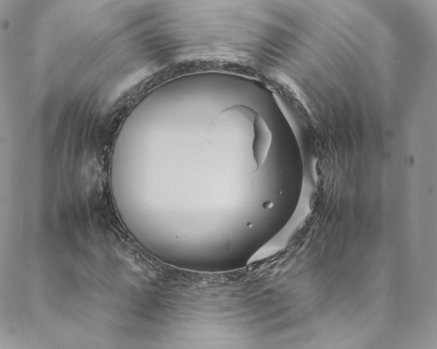 X0000088661064200706081657