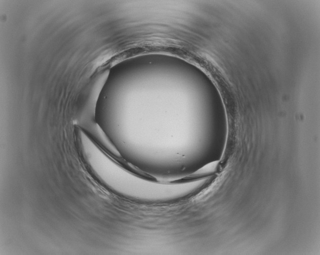 X0000088661065200706081657