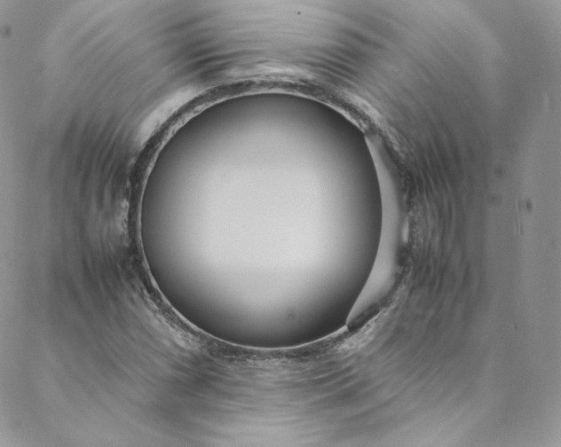 X0000088661066200706081657