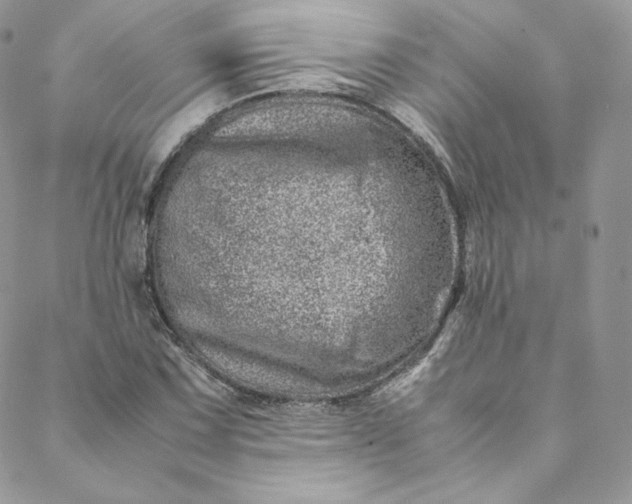 X0000088661067200706081657