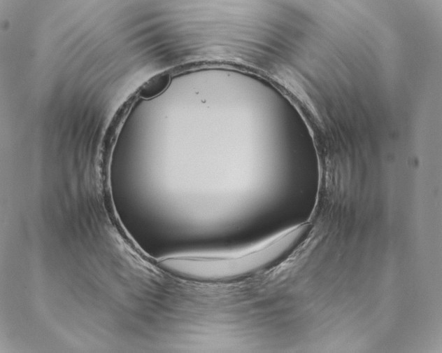 X0000088661068200706081657