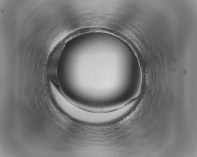 X0000088661069200706081657