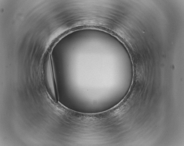 X0000088661070200706081657