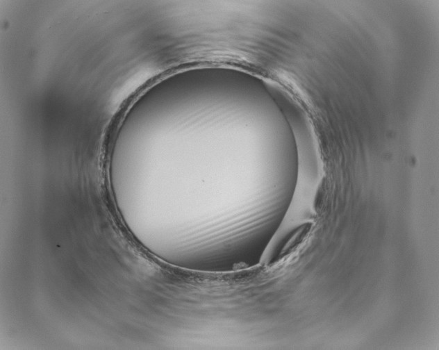 X0000088661071200706081657