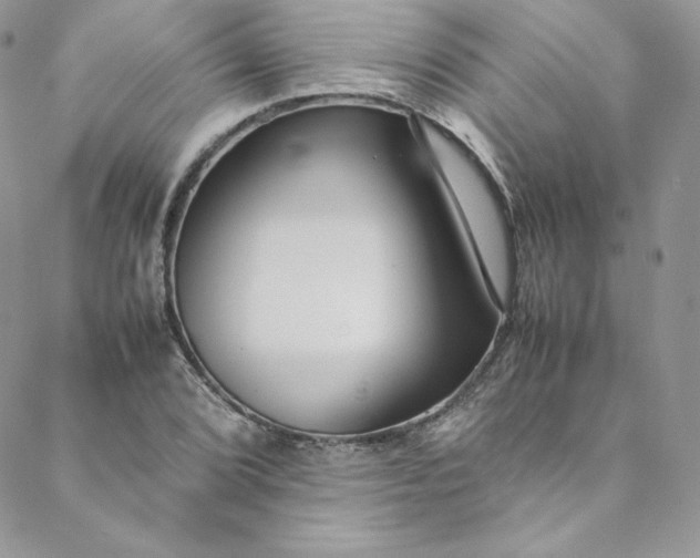 X0000088661072200706081657