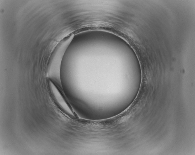 X0000088661073200706081657